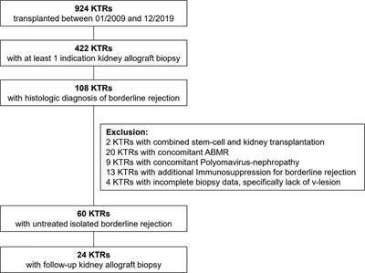 High PIRCHE Scores May Allow Risk Stratification of Borderline Rejection in Kidney Transplant Recipients